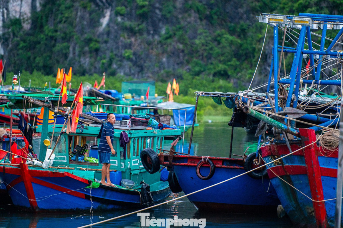 Công tác chằng buộc, cố định tàu thuyền và các bè mảng nuôi trồng thủy sản được triển khai khẩn trương trước khi bão đổ bộ.