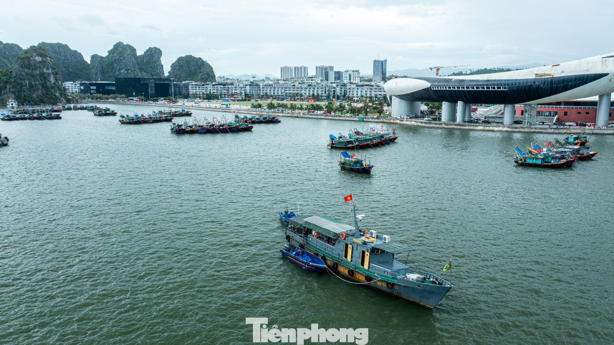 Lực lượng Bộ đội Biên phòng tỉnh Quảng Ninh bố trí một tàu sắt tại khu vực này cùng hai xuồng máy để sẵn sàng ứng phó khi có sự cố xảy ra. Chủ động ứng phó với bão số 5, Hải đội 2, Bộ đội Biên phòng tỉnh Quảng Ninh đã tăng cường tuần tra, kiểm đếm, thông báo và kêu gọi tàu thuyền di chuyển vào khu neo đậu an toàn, hạn chế tối đa thiệt hại do bão gây ra.