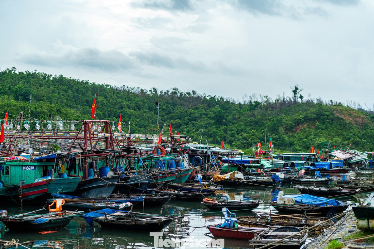 Theo thông tin từ Ban Chỉ huy Phòng chống thiên tai, tìm kiếm cứu nạn và phòng thủ dân sự tỉnh Quảng Ninh, đến thời điểm này, các tàu thuyền hoạt động trên các vùng biển của tỉnh Quảng Ninh đã về nơi tránh trú bão an toàn.