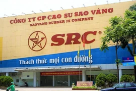 Tập đoàn Hoành Sơn nhận gần chục tỷ cổ tức từ Cao su Sao Vàng?