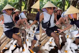 Khách Tây thích thú với du lịch độc đáo ở Việt Nam