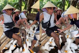 Khách Tây thích thú với du lịch độc đáo ở Việt Nam