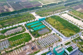 Đất nền có trở lại “kênh đầu tư vua” trong năm 2026?