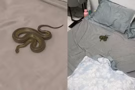 Hình ảnh “bé na” chui ra từ điều hòa khiến netizen sợ hãi