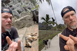 Khách Tây viral bởi loạt ảnh check-in với những 'người bạn 4 chân' ở Việt Nam