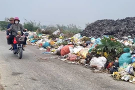 Bãi rác khổng lồ 'phun' khói độc ra đồng ruộng, khu dân cư Ninh Bình 