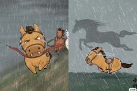 Chú ngựa Mã Tiểu Dã một lần nữa viral khắp cõi mạng