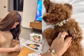Tranh cãi chuyện cô gái chi 50 triệu đồng tổ chức sinh nhật cho chó cưng