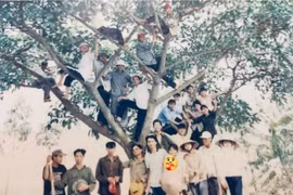 'Không leo cây đời không nể', mốt chụp ảnh độc lạ của thế hệ 8x, 9x đời đầu