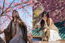 Hot girl Lylychuu khoe sắc giữa rừng hoa mai anh đào đẹp như tranh vẽ