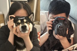'Hội con sen' đu trend khoe chiếc máy ảnh bằng thú cưng
