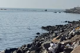 Lâm Đồng chỉ đạo gấp rút nạo vét luồng biển La Gi