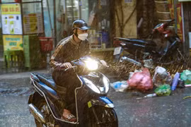 Miền Bắc đón gió mùa đông bắc từ đêm nay