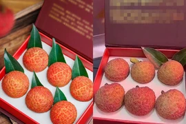 Sự thật về quả vải 181 triệu đồng đang xôn xao mạng xã hội