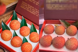 Sự thật về quả vải 181 triệu đồng đang xôn xao mạng xã hội