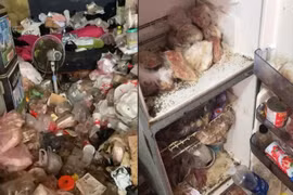 Kinh hoàng căn phòng trọ 10m2 như bãi rác mini ở Ninh Bình