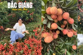 Nghỉ hè không "xả hơi": Khi sinh viên về phụ mẹ bán vải