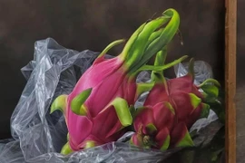 Tác giả đứng sau bức tranh thanh long 'giả như thật' gây bão mạng