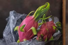 Tác giả đứng sau bức tranh thanh long 'giả như thật' gây bão mạng