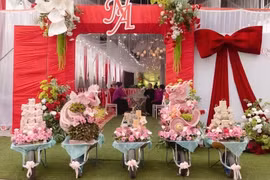 Độc lạ đám cưới dùng xe rùa để bê tráp viral mạng xã hội