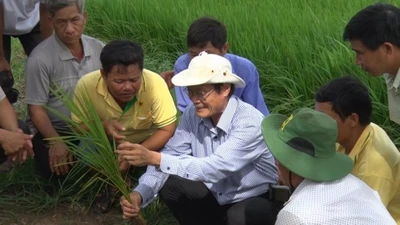 Nhà khoa học được nông dân trìu mến gọi tên 'Thầy Vệ'