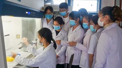 Nhà khoa học Việt lọt top ảnh hưởng toàn cầu, tiên phong nghiên cứu y sinh