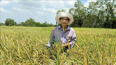 Bỏ ghế Phó Giám đốc Sở, về ruộng tạo gạo ngon nhất hành tinh