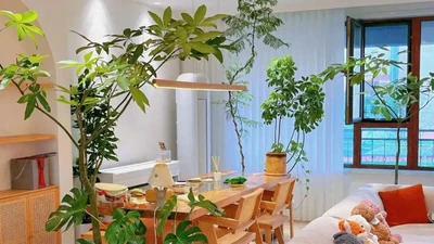Cổ nhân dặn 'Phòng khách có 3 cây, mười nhà chín giàu'