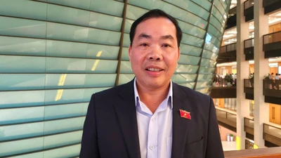 Đề xuất nhà khoa học hưởng lợi theo giai đoạn nghiên cứu