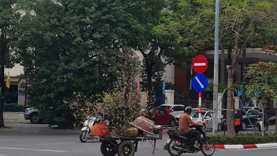 Hà Nội cấm xe máy xăng, cần lộ trình, tránh gây sốc cho người dân