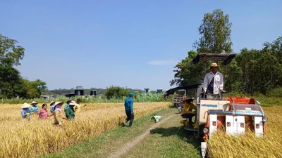 Ứng dụng công nghệ 4.0 thay sức hàng trăm nông dân trên đồng