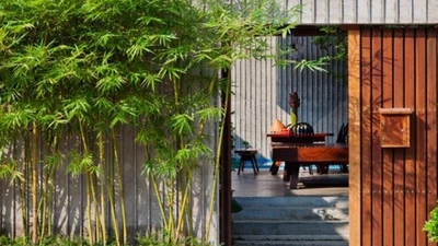 Tổ tiên cảnh báo tuyệt đối không trồng cây này trước cửa nhà