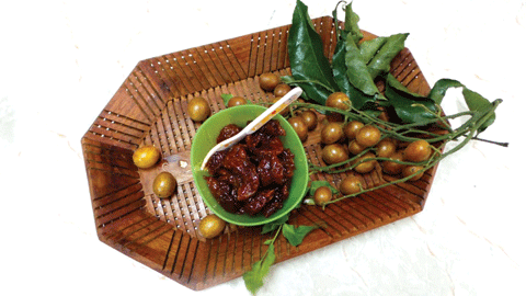 Ngoài ra có thể sử dụng hạt hồng bì để chữa rắn cắn, giải độc do rắn cắn. Ảnh: Thuocchuabenh.