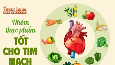 [INFOGRAPHIC]: Nhóm thực phẩm tốt cho tim mạch 