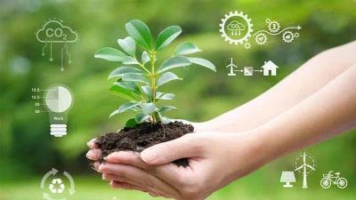 Vì sao lối sống xanh giúp bạn sống khỏe hơn mỗi ngày?