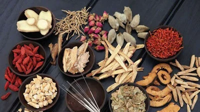 Xu hướng sử dụng bài thuốc cổ truyền trong y học hiện đại