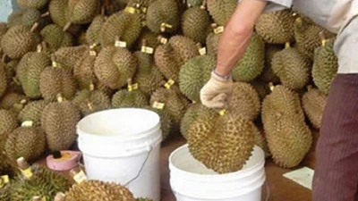 Hiểm họa tiềm ẩn từ hoa quả ngâm hóa chất 