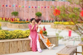 Hàng loạt 'đất vàng' bỏ hoang tại TP HCM biến thành vườn xuân rực rỡ