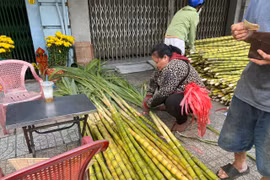 Độc đáo 'Chợ mía vía Trời' mỗi năm chỉ họp 1 lần ở TP HCM