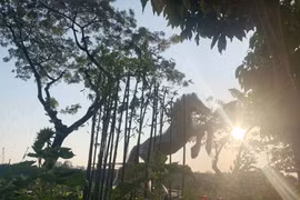 Nhiều linh vật năm Ngọ ở đường hoa đô thị hiện đại nhất TP HCM