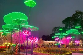 'Đất vàng' bị bỏ hoang trở thành vườn xuân rực rỡ ở TP HCM