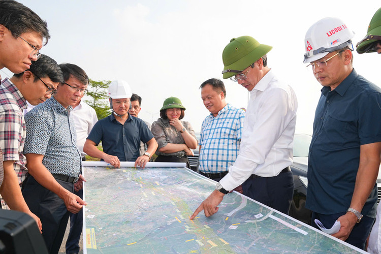 Phó Chủ tịch Thường trực UBND thành phố Hải Phòng Lê Anh Quân kiểm tra thực địa khu vực dự kiến triển khai dự án. 244.jpg
