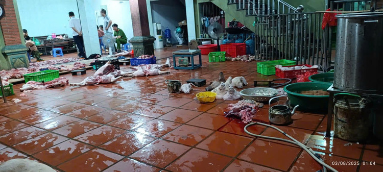 Thịt lợn nhiễm bệnh để la liệt trên sân chờ mang đi tiêu thụ 34.jpg