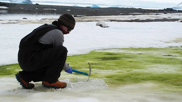 Cảnh báo “lục địa chết” hồi sinh: Thảm hoạ kinh hoàng nào ập tới?