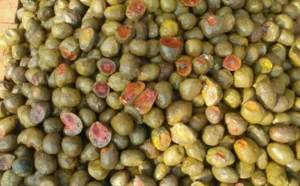 Đào được “trứng vịt” trên núi, ngã ngửa khi biết báu vật thời Chiến Quốc