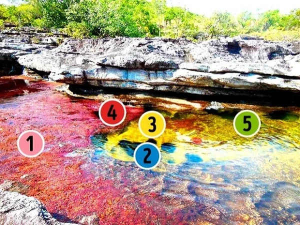 Top địa điểm bí ẩn không kém ngoài hành tinh, khó ai lý giải 