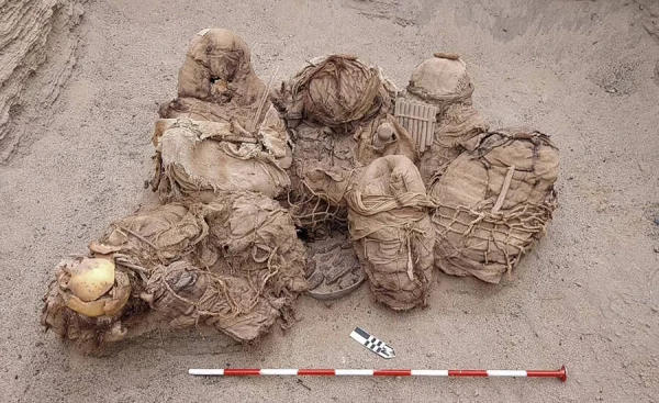 Đang làm đường, nhóm công nhân tái mặt đào trúng thứ đáng sợ này