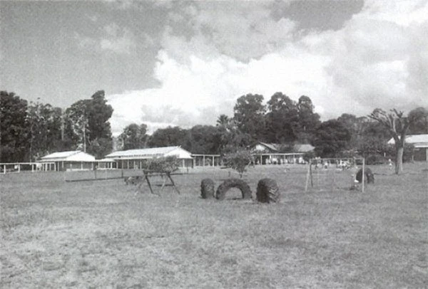 62 đứa trẻ kể gì khi đồng loạt chạm trán UFO?