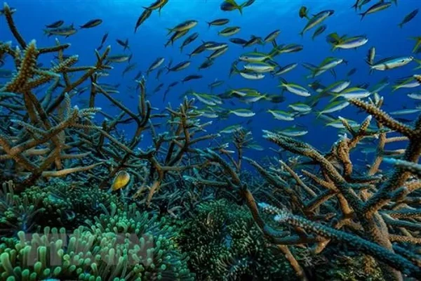 Địa Trung Hải ấm lên bất thường, chuyên gia cảnh báo "nóng" thảm họa