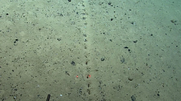 Phát hiện dấu tích lạ dưới Đại Tây Dương: Của người ngoài hành tinh?